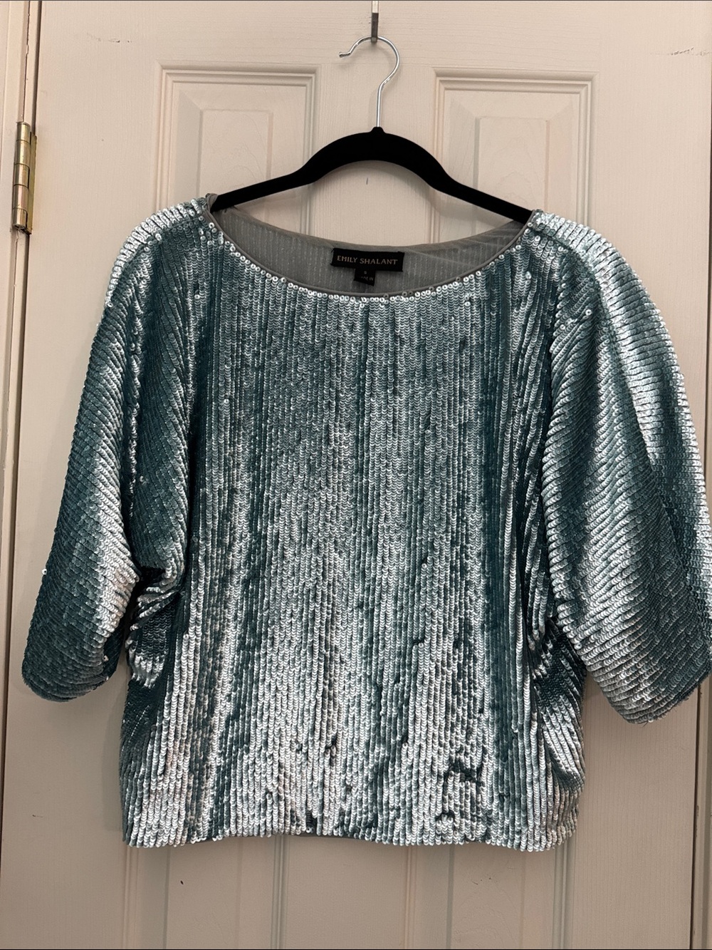 Metallic Blue Velvet Sequin Top